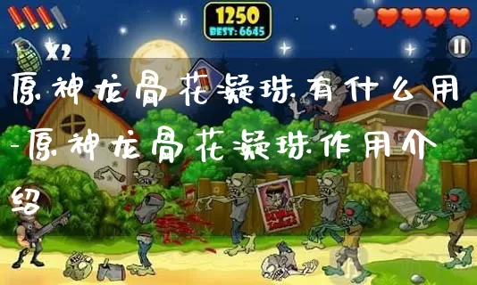 原神龙骨花凝珠有什么用-原神龙骨花凝珠作用介绍_https://www.candoujia.com_游戏攻略_第1张